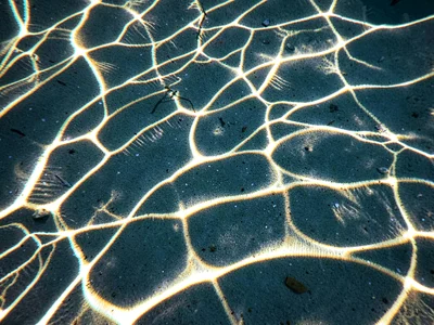 Sand ripples with caustic overlay
