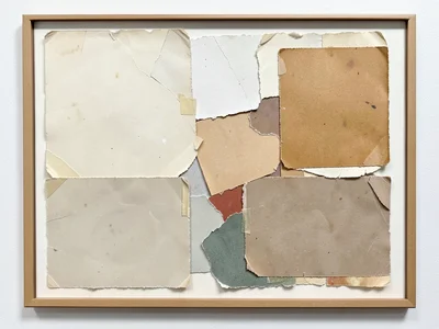 Torn color swatches from a paint sample fan, neat rectangles ripped from their b