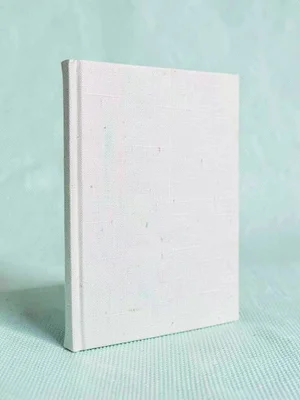 Linen-bound journal standing upright on its long edge straight-on against a mint