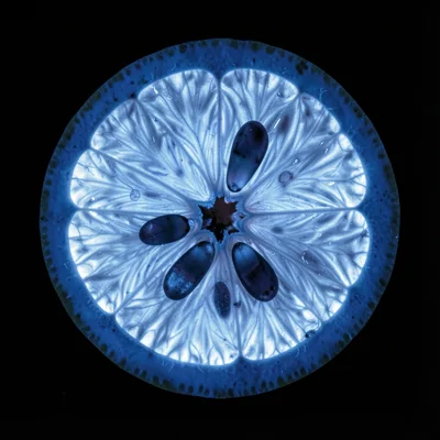 A sliced citrus fruit cross-section under UV, the pith glowing pale blue-white a