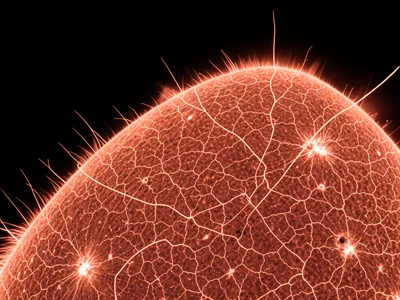 Chromospheric network, bright boundaries of supergranulation cells creating web 