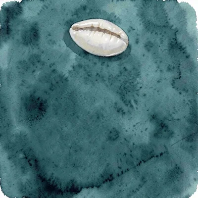 A single cowrie shell sits in the upper-edge in soft pearl against deep teal, it