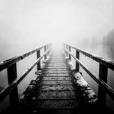 Stark minimalist composition, high contrast black and white tones, A weathered w