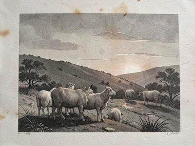 Shepherd and flock at dusk