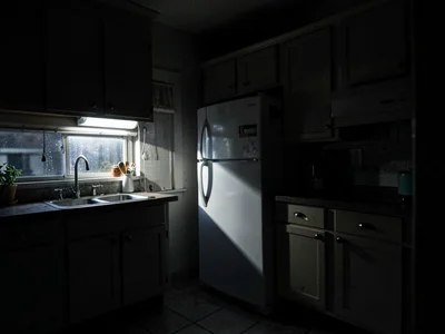 Refrigerator light in dark kitchen