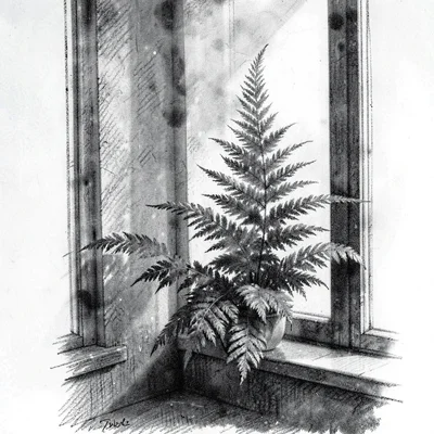 Vertical charcoal scene of a tall fern by a window, smudgy haze