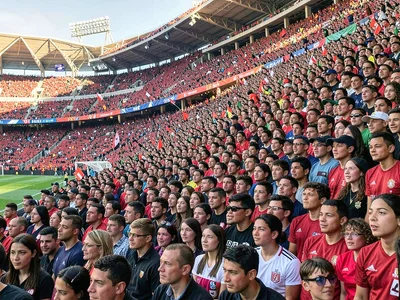Stadium crowd as wall of faces