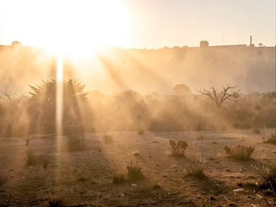 Morning haze of dust creating visible light shafts