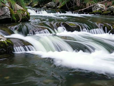 Rapids rendered as smooth white blur