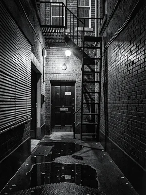 Narrow alley off Dame Street, fire escape zigzagging up a brick wall, single bul