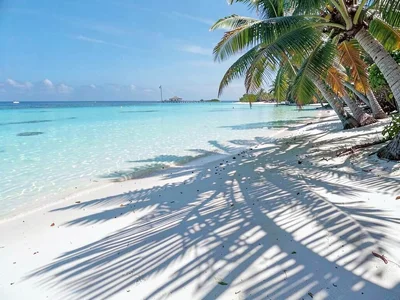 Lagoon turquoise light in Rarotonga, Palm frond shadows creating geometric strip