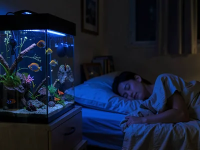 Aquarium at night as only light source in bedroom, the gentle glow, sleeping hum