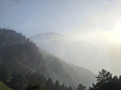 Shadow clarity in dense fog