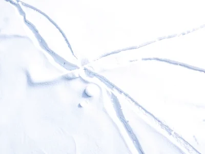 Wind pattern visible on snow surface