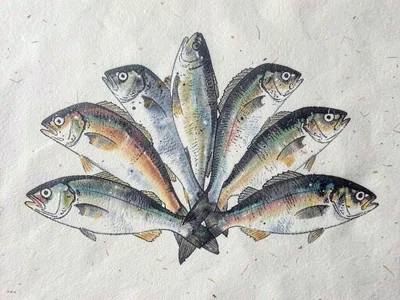 Mackerel fish arranged in a fan pattern on pale washi paper