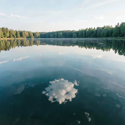 Finnish lake mirror, dead-calm reflection, Single cloud reflected in dead calm w