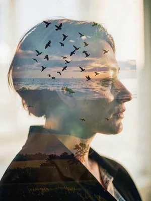 Birds through figure silhouette