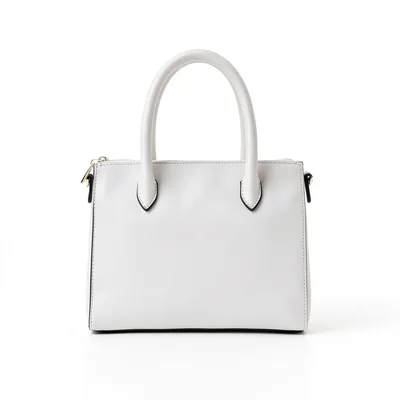 Handbag on white seamless