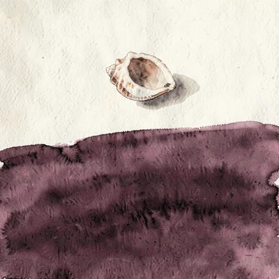 A single conch shell rests in the upper-center in soft cream against deep plum,