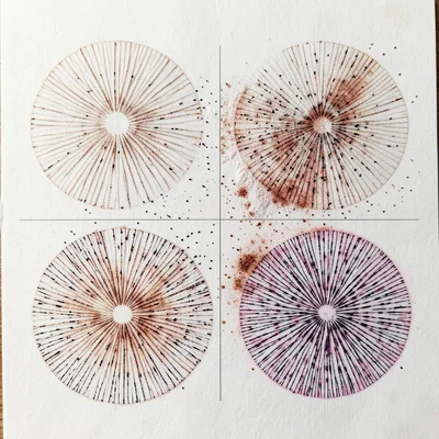 Layered spore prints from same species at different ages, young sparse deposit o