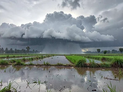 Monsoon clouds reflected in flooded field