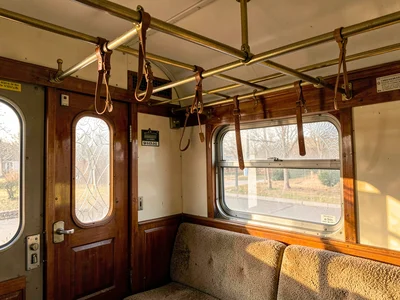 Railway Carriage Net Luggage Rack Mahogany