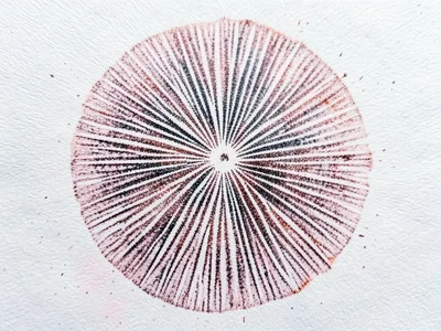 Spore print on watercolor paper, rough paper texture visible through the thin sp