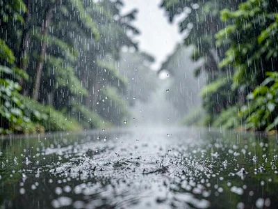 Monsoon beginning first drops