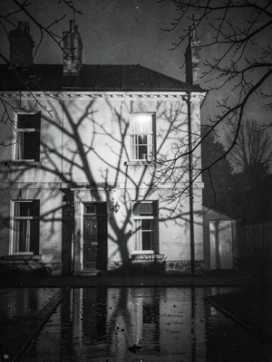 Georgian terrace at night, one lit window on the top floor, bare tree branches c