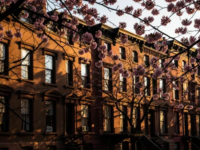 Row of brownstones silhouette filled with cherry blossom branches, double exposu