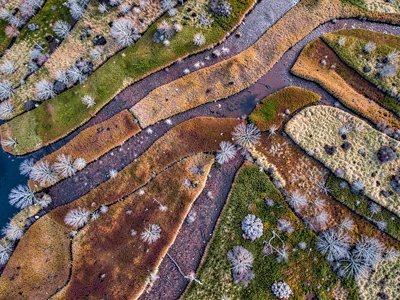 String bog ridges creating striped pattern across landscape