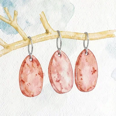 abstract single tag-tree abstract — three coral pendant tags hanging from a butt