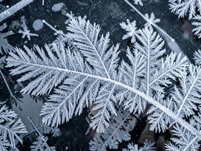 Nell Crystalline