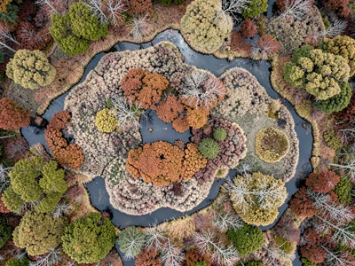Mixed bog showing all stages of succession in one frame