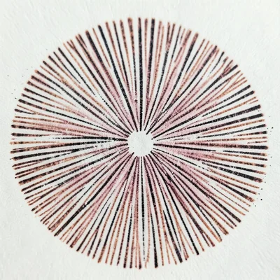 Mushroom gill pattern macro, radiating lines like sun rays