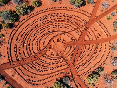 Animal paw prints crossing red ochre dust — overlapping trail lines, top-down