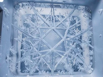 Crystal garden growing on freezer interior surface