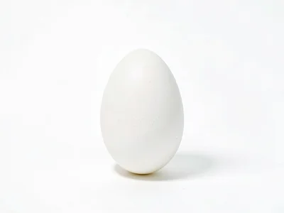 Egg on white surface simple