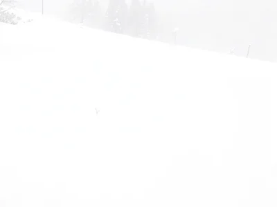 Snow scene mostly white minimal mark