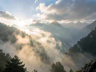 Fog creating glow around light