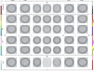 An uncut press sheet showing the same image repeated in a grid with trim marks b