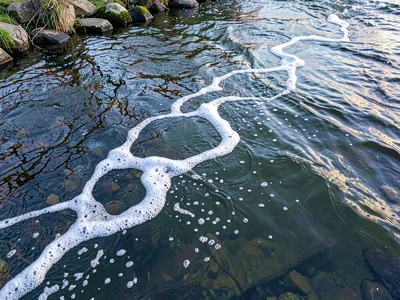 Foam lines tracing current paths