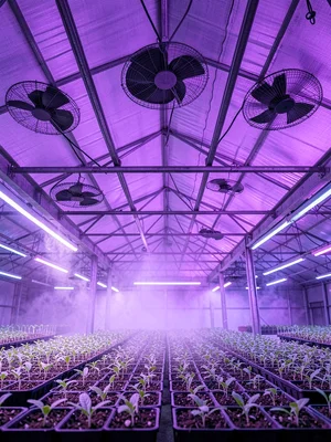 Ventilation Fan Ceiling Array