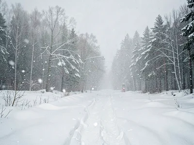 Breath visible, temperature dropping, flakes getting thicker, the change happeni