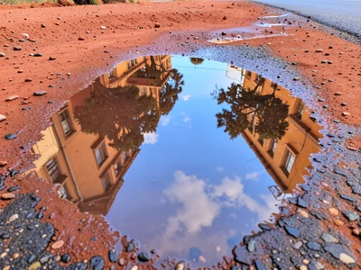 Rainn Reflekta