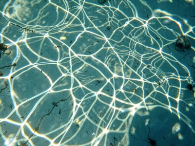 Complex interference caustics from wind-rippled surface