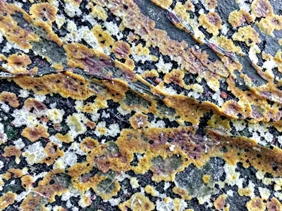 Natural polish from waterfall flow erosion