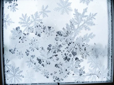 Thick frost obscuring all behind