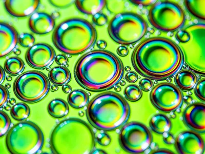 Cooking oil on water surface creating cells reflecting spring-green background