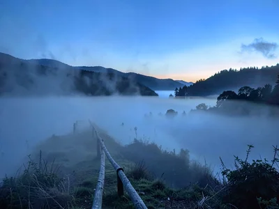 Fog bank edge creating sharp line across landscape